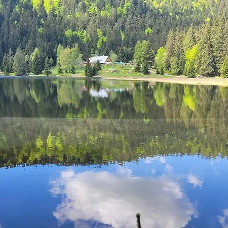 Lieblingsplatz Apartamento *