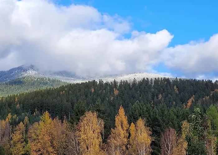 Lieblingsplatz דירה *